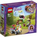 Конструктор LEGO Friends Квітник Олівії 41425