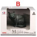 Животное Zhongjieming Toys кот Q9899-A100-B