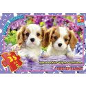 Пазл G-Toys Домашние животные 35 элементов AN143