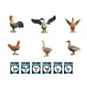 Животное Zhongjieming Toys птица, 6 видов Q9899-ZJ32