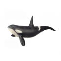 Животное Zhongjieming Toys касатка Q9899-586