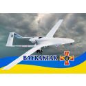 Подушка Копиця з принтом №1 00861-0018