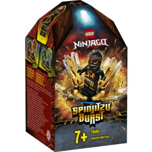Конструктор LEGO Ninjago Турбо спін-джитсу Коул 70685