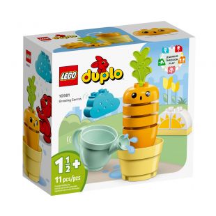 Конструктор LEGO Duplo Морковь на грядке 10981