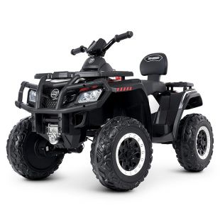 Квадроцикл Bambi Racer M 4868EL-1(24V)