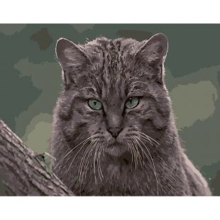 Картина по номерам Strateg Дикая кошка DY177