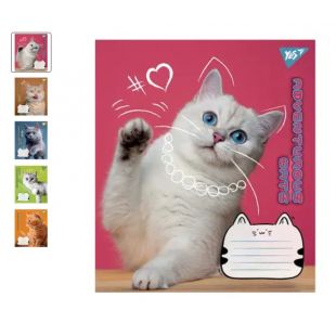 Зошит для записів YES А5, 18 аркушів, лінія, Adventurous cats 766603