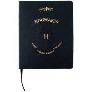 Дневник школьный Kite Harry Potter HP24-283