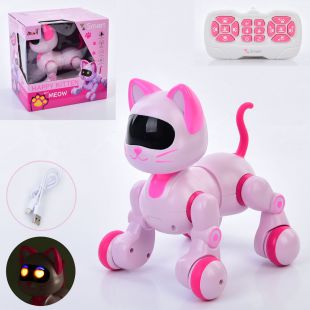 Робот Кіт 6602