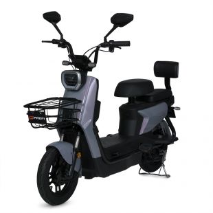 Електроскутер дорослий Prof1 з акумулятором 500W MES 1025-6HML SUWA/B