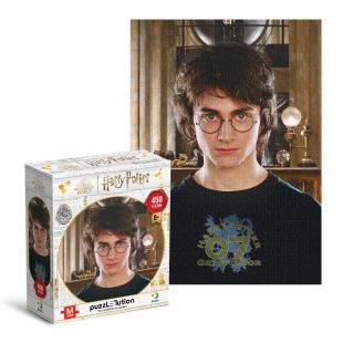 Пазл DoDo Hard-M Harry Potter. Портрет Гаррі 200576
