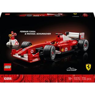 Конструктор Ferrari F2004 та Michael Schumacher