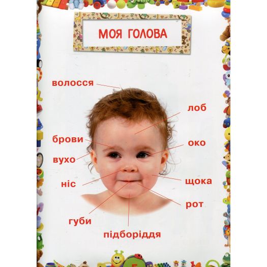 Книга Crystal Book Улюблена книжка малюка. Від 6 місяців до 4 років F00014809   замовити
