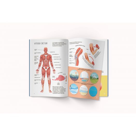 Книга Crystal Book Книга з наліпками. Тіло людини F00027785  купити