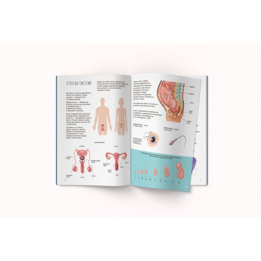 Книга Crystal Book Книга з наліпками. Тіло людини F00027785   в Україні