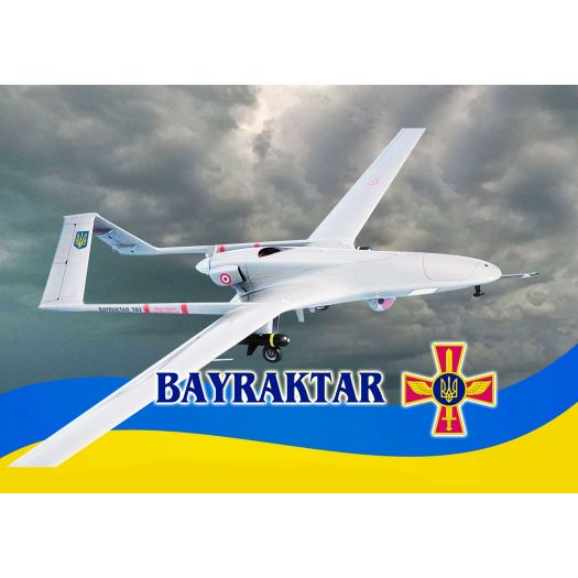 Подушка Копиця з принтом №1 00861-0018   замовити
