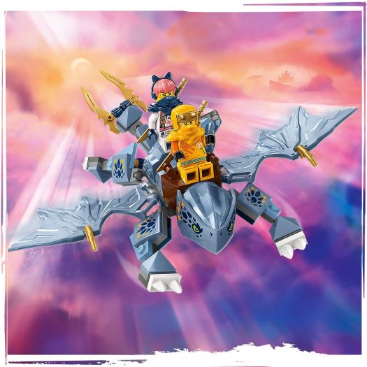 Конструктор LEGO Ninjago Молодий дракон Рію 71810  купити