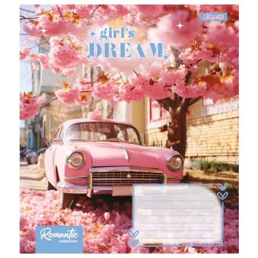 Зошит для записів 1 Вересня Girls dream в асортименті 767325  купити