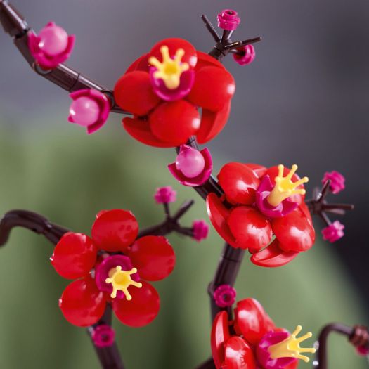 Конструктор LEGO Botanicals Сливовий цвіт 10369   в Україні