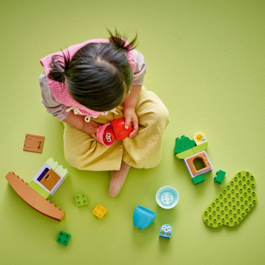 Конструктор LEGO Duplo Дерево для балансування і складання 10440  купити